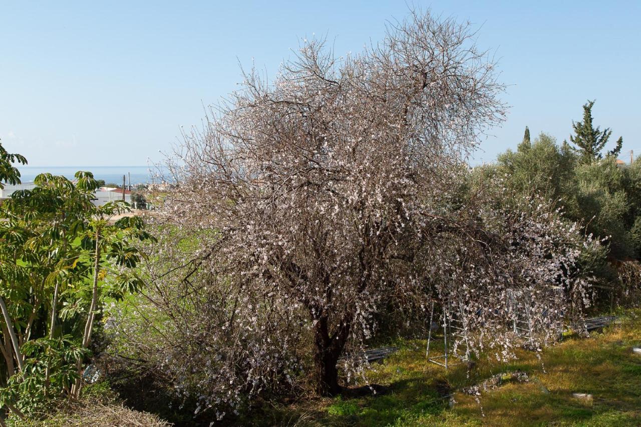 Coral Bay Sunkiss Villa מראה חיצוני תמונה
