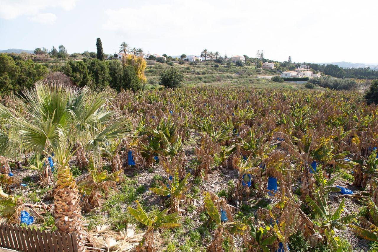 Coral Bay Sunkiss Villa מראה חיצוני תמונה